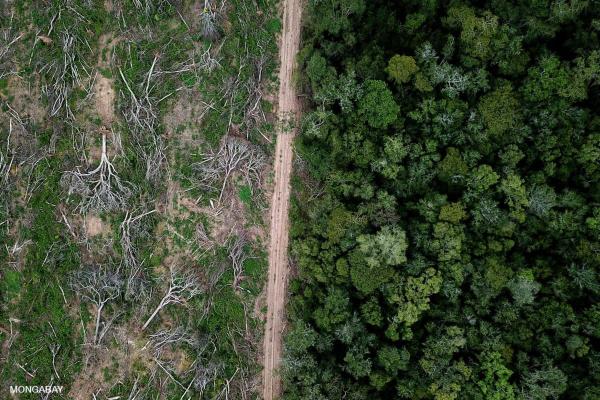 Suriname will not be saved by soybeans&hellip;