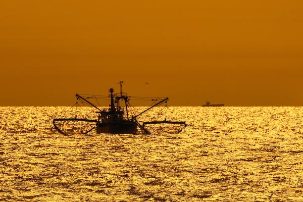 UK Plans to Ban Destructive Activities…