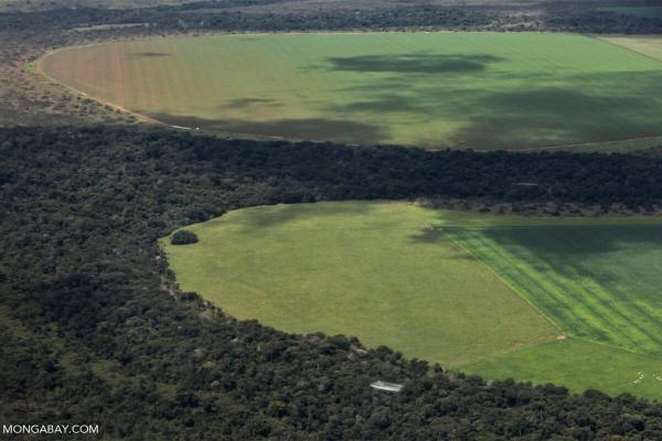 Brazil suspends Amazon Soy Moratorium,…
