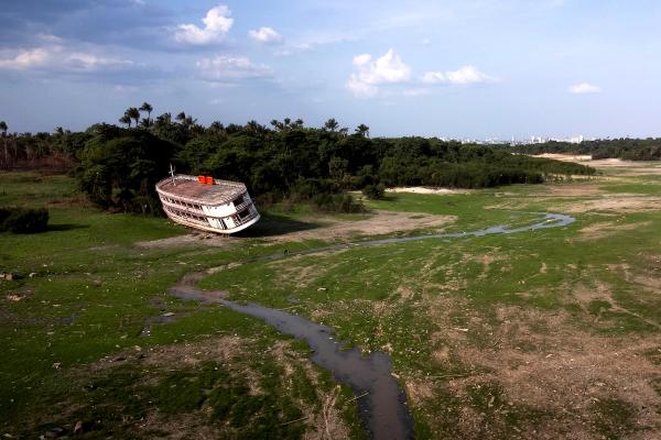 photo of Deforestation and Wildfires in Brazil Contributing to ‘Most Intense and Widespread Drought in History’ image