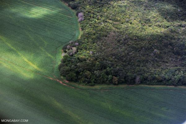 Targeted conservation in Brazil could&hellip;