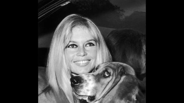 Brigitte Bardot, who turned fame into a&hellip;