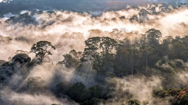 Rethinking how we talk about&hellip;