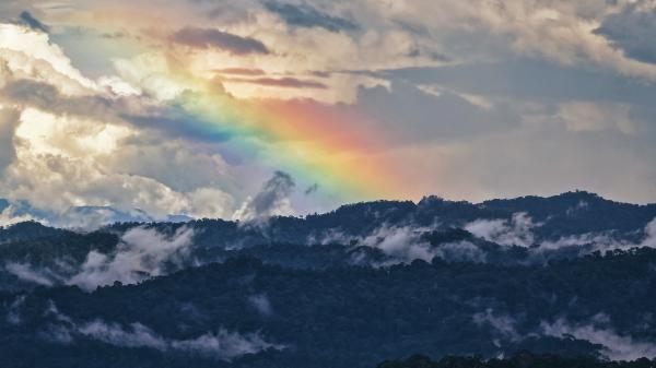 Letters to the future from…