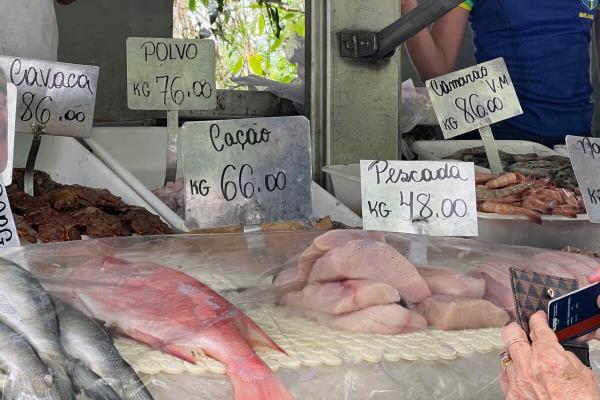 Mongabay shark meat exposé wins&hellip;