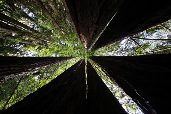 Supporting frontline leadership in a…