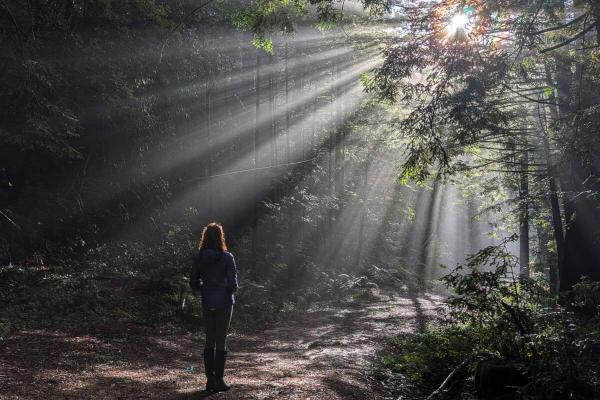 15 forces that could reshape&hellip;