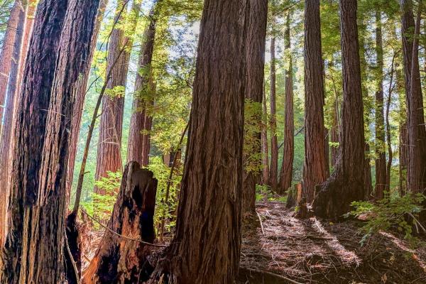 Conservation in a hotter world