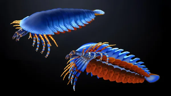 This tiny claw in a 500-million-year-old&hellip;