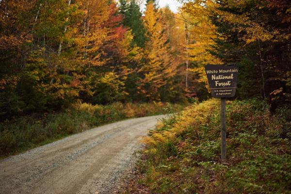 Ending the Roadless Rule is Bad News for…