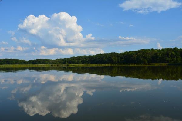 photo of Oysters in the Chesapeake Bay are on the rebound: New report says they can help fight climate change image
