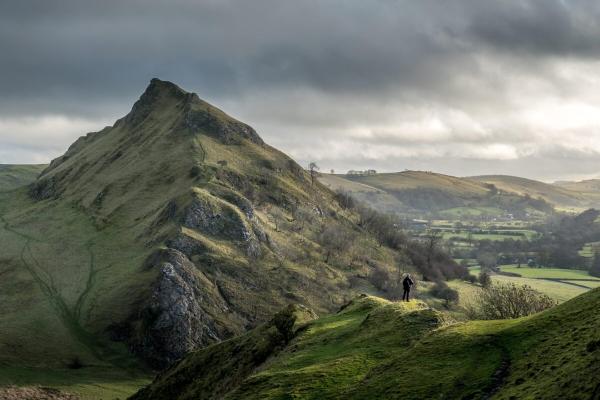 England’s rewilding movement is…
