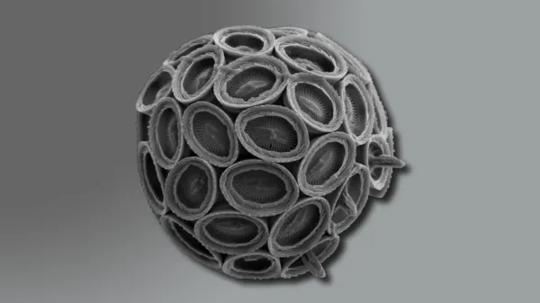 photo of They’re smaller than dust, but crucial for Earth’s climate image