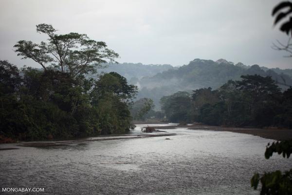 What’s at stake for the environment in…