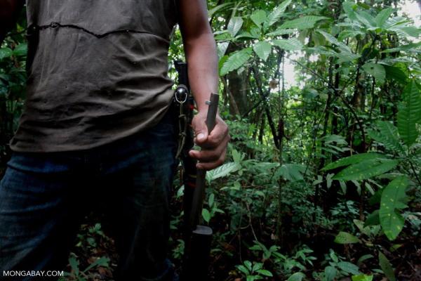 146 environmental defenders were killed…