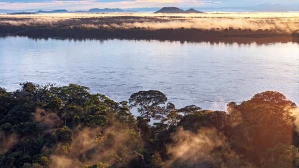 Amazon deforestation alerts fall to&hellip;