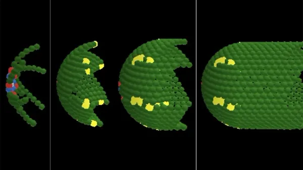 New study cracks the “tissue code”…