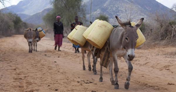 The 'voracious, clandestine' donkey&hellip;