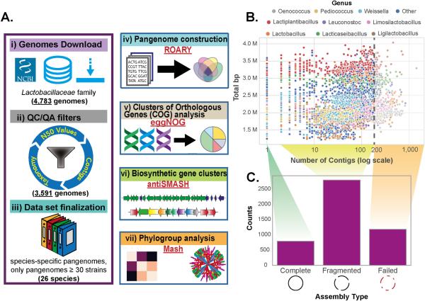 photo of Comprehensive pan-genome analysis of lactic acid bacteria unveils new avenues for food industry and health care image