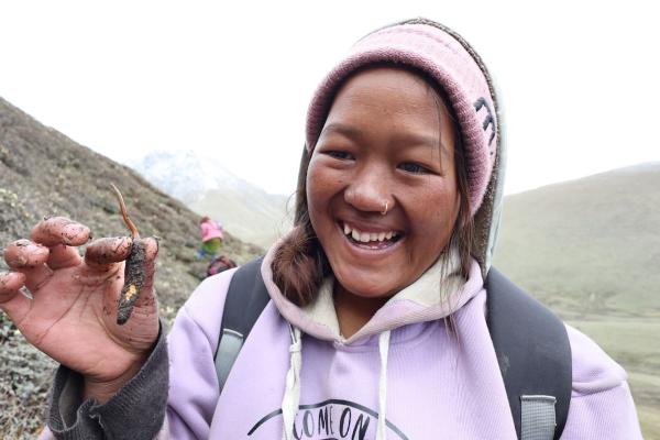 Sustainable trade in wild plants&hellip;