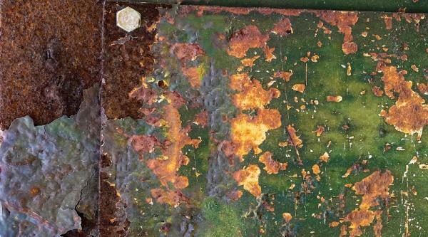 Phenomenal Moments: Photographs That…