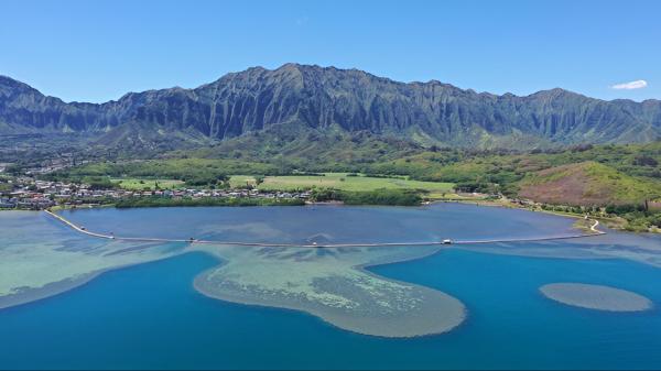 photo of Could fish ponds help with Hawaiʻi's food sustainability? image