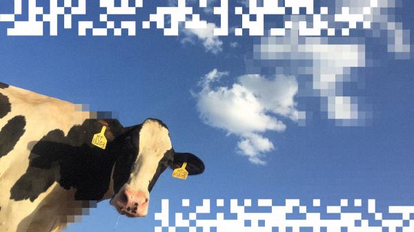 Cow manure could be the next data center&hellip;