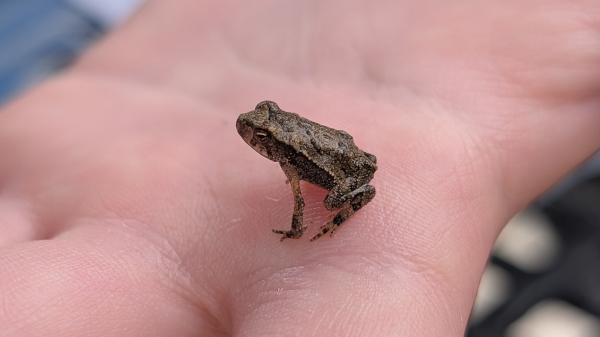 Conservation collects more data than&hellip;