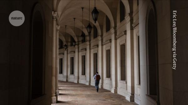 Insiders warn how dismantling federal…