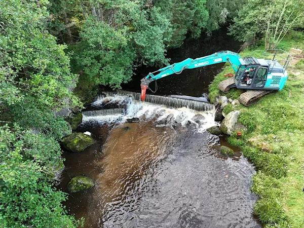 photo of Record Number of River Barriers Removed in Europe in 2024: Report image