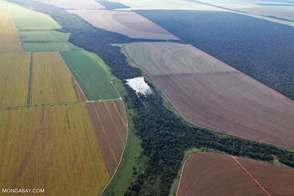 Brazil Supreme Court upholds laws that&hellip;