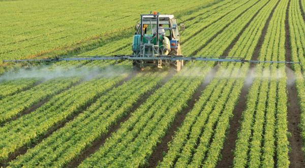 Dutch pesticide buffer rules stall&hellip;