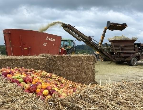 Recycling Food Waste Could Dramatically…