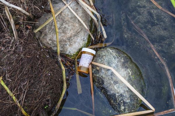 photo of Nearly a Third of Antibiotics Used by Humans End Up in River Systems Globally Each Year: Study image