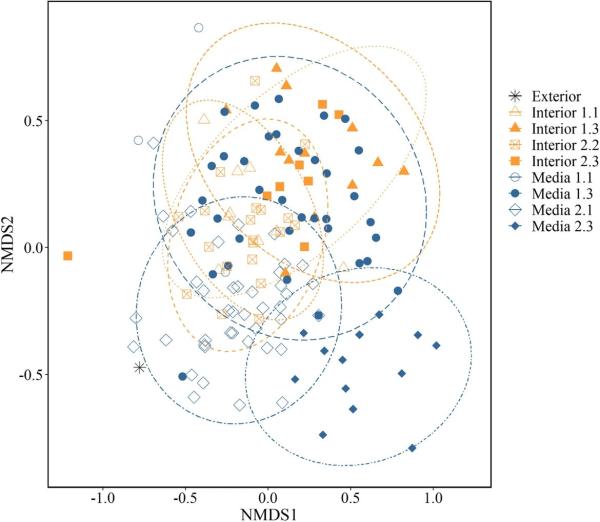 photo of Study investigates how young fish ingest plastic image