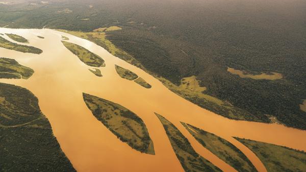 A “good year” for forests changes&hellip;