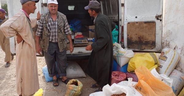 Argan oil co-operatives in Morocco…