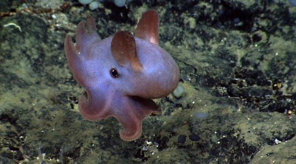 The Trump Administration Is Racing to&hellip;