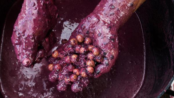 Heat, fires and agribusiness squeeze&hellip;