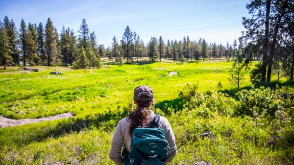 ‘An epidemic of suffering’: Why are&hellip;