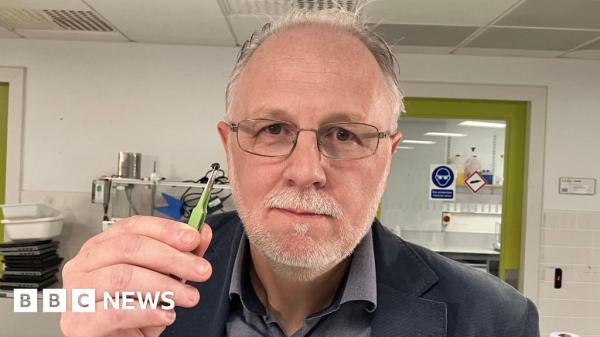 Lead and arsenic found in Camber Sands…