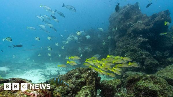 Key oceans treaty crosses critical…