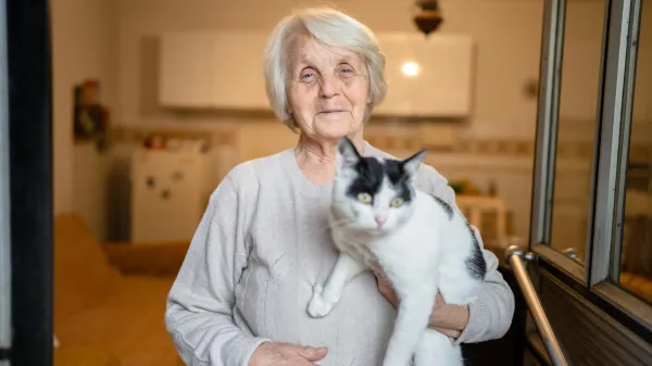 How cats with dementia could help crack…