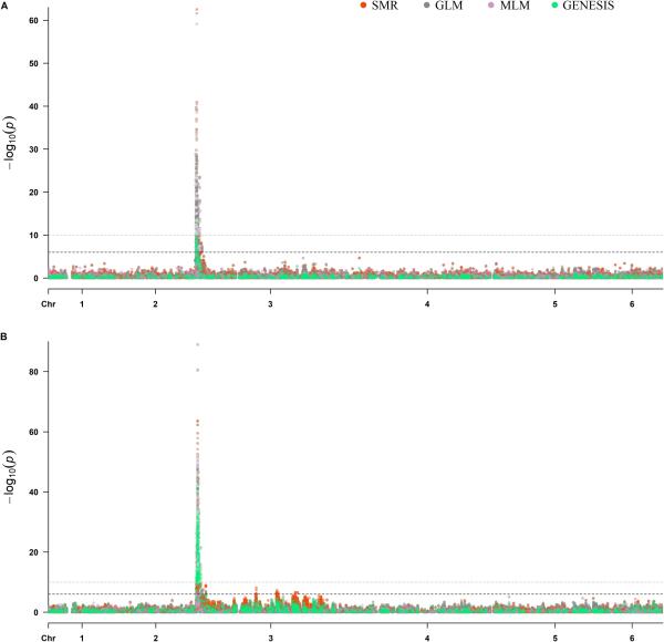 photo of Elucidating the genetic basis of downy mildew resistance in spinach with skim resequencing: RPF2 and RPF3 loci image