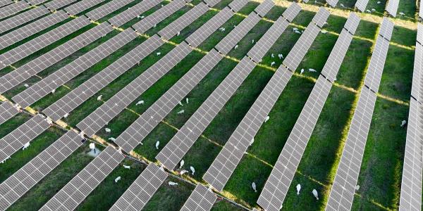 Enel and Mars ink a milestone Texas…