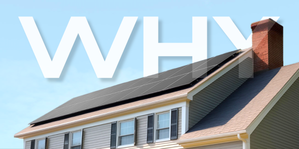 Survey Sunday: we asked WHY you chose…
