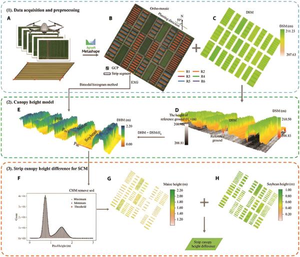 photo of Enhancing intercropping efficiency: A new model for precise quantification of shading impact in maize-soybean systems image