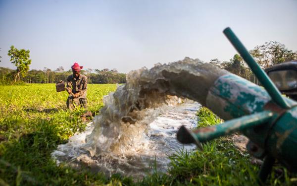 photo of Bangladesh struggles to choose between food security & stable groundwater table image