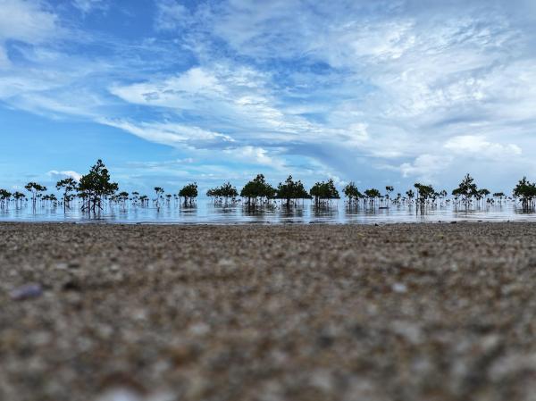 60 years of buried lessons on&hellip;