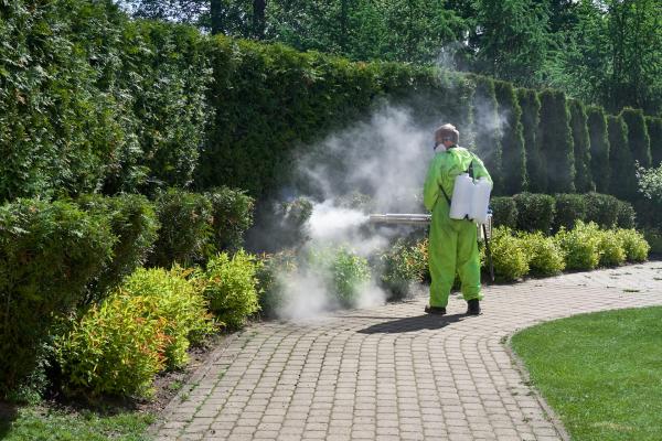 Chemical pollutants affect wildlife and…